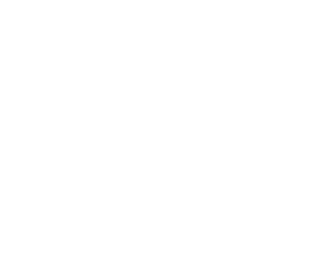 Logo EriRojasCoach